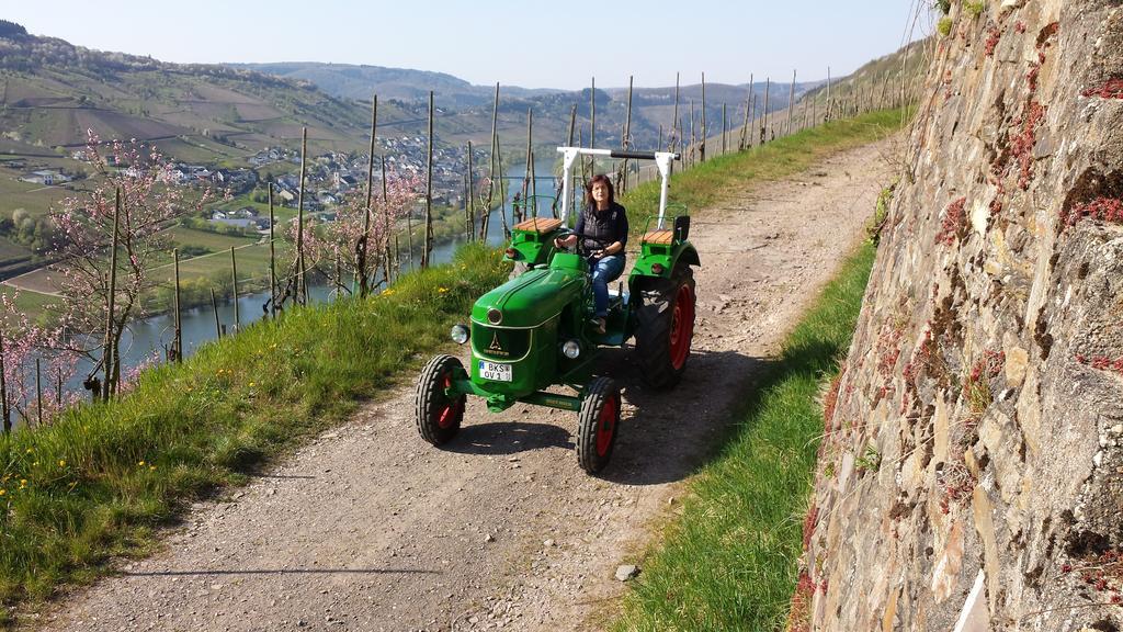 Ferienweingut Hirschen Schulstrasse Burg (Bernkastel-Wittlich) Exterior foto
