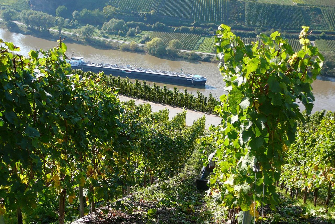Ferienweingut Hirschen Schulstrasse Burg (Bernkastel-Wittlich) Exterior foto